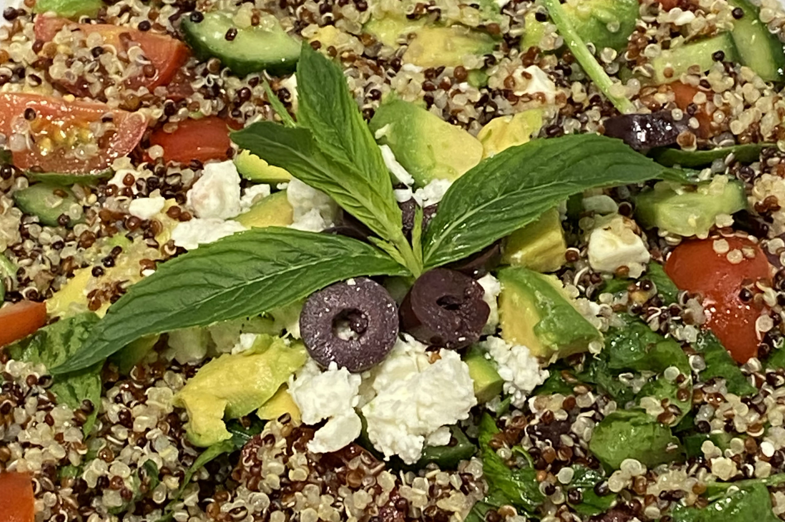 quinoa salad garnished with mint and olives