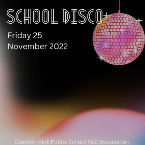 School disco Friday 25 November 2022, picture of sparkly disco ball